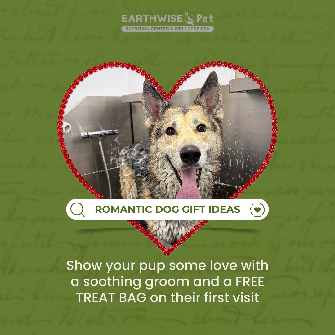 EarthWise Pet - Fuquay NC Facebook ad: From Scruffy to Fluffy - Book Your Pup Today