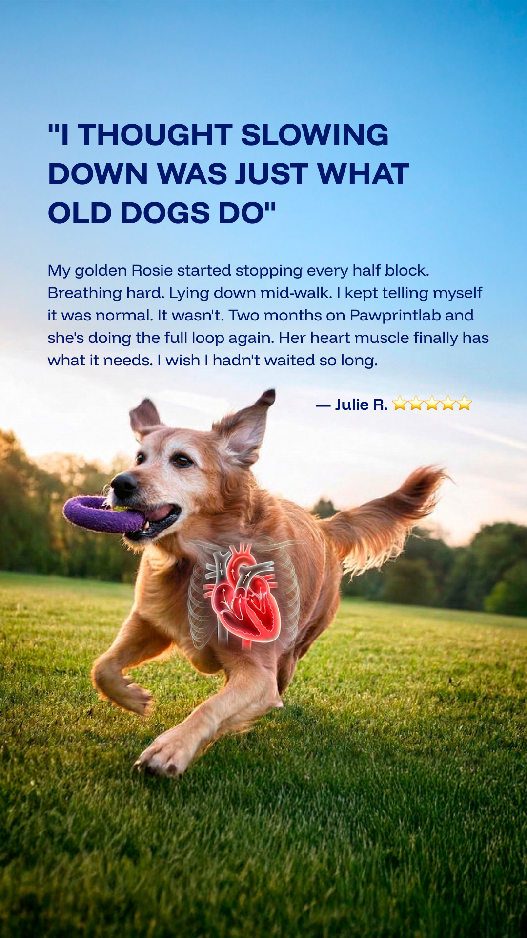 Vet-Approved Pet Products Facebook ad
