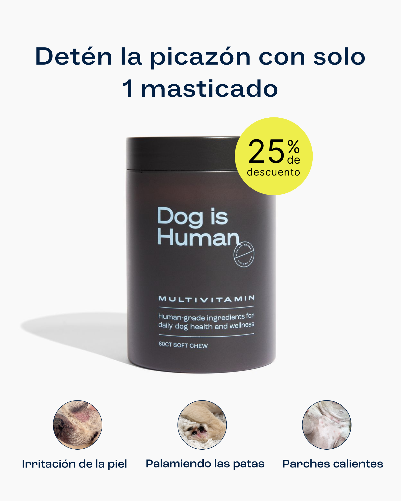 Dog is Human Facebook ad