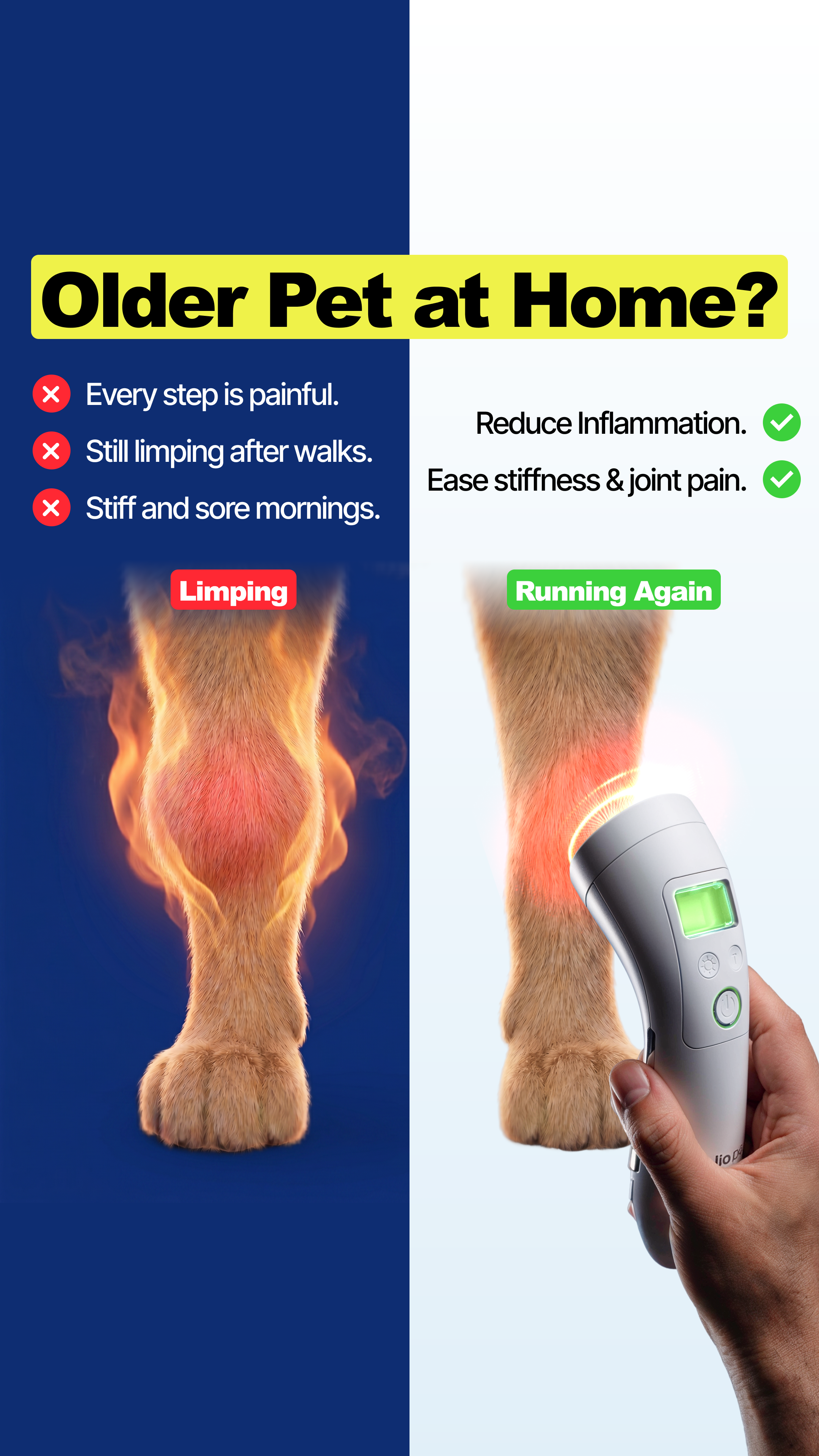 Helio Pet Facebook ad