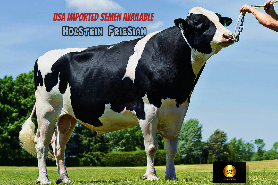 ABS Genetics PK by NextGen Farm Facebook ad from Nov 20, 2025