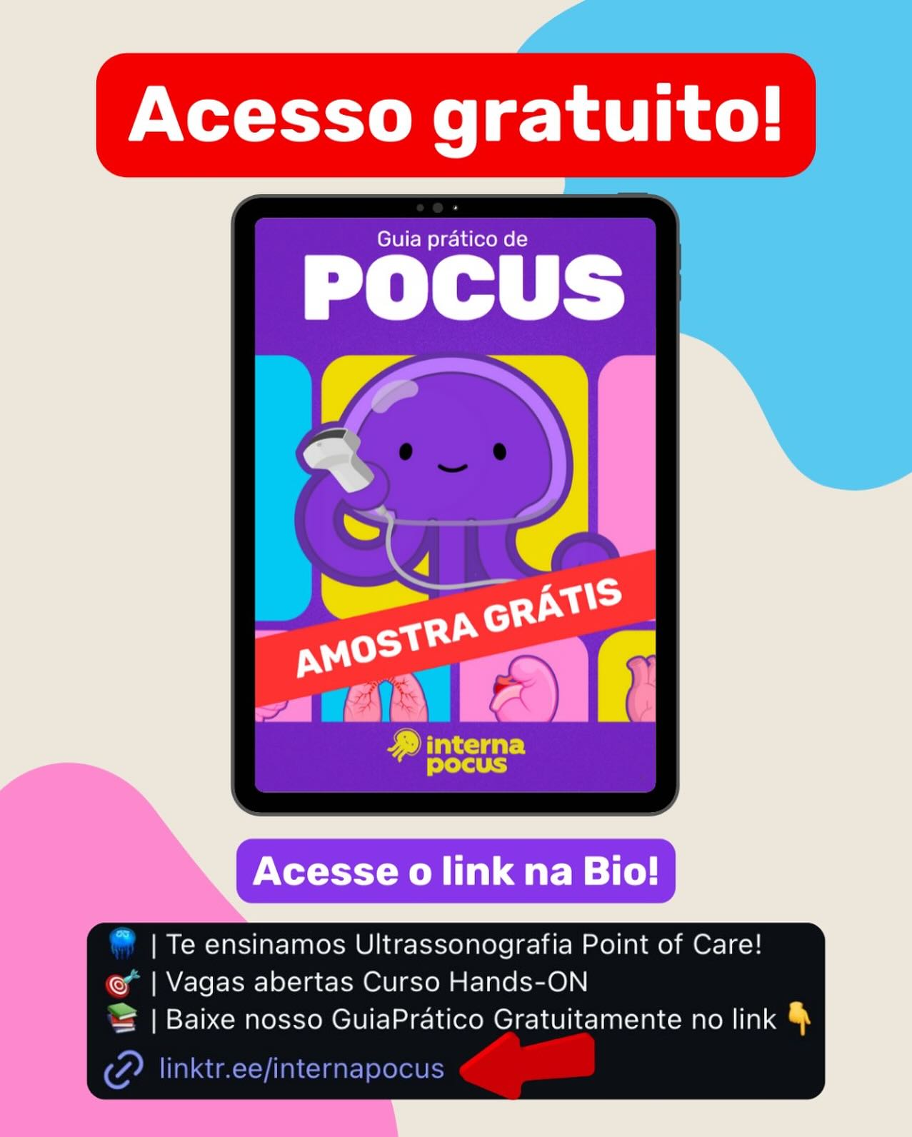 internapocus Facebook ad: Comente GUIA ou acesse o link da BIO…