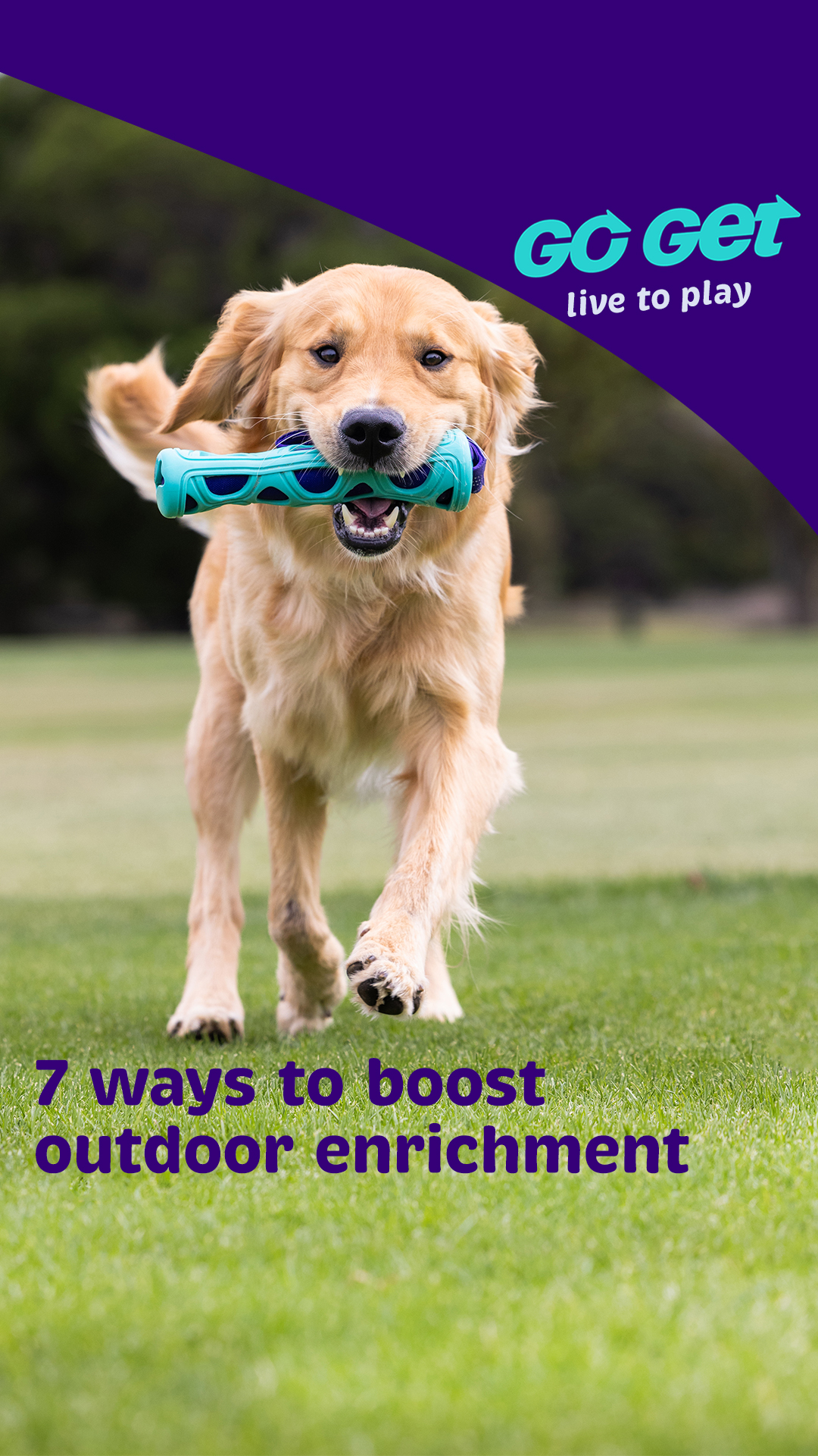 Petstock Facebook ad
