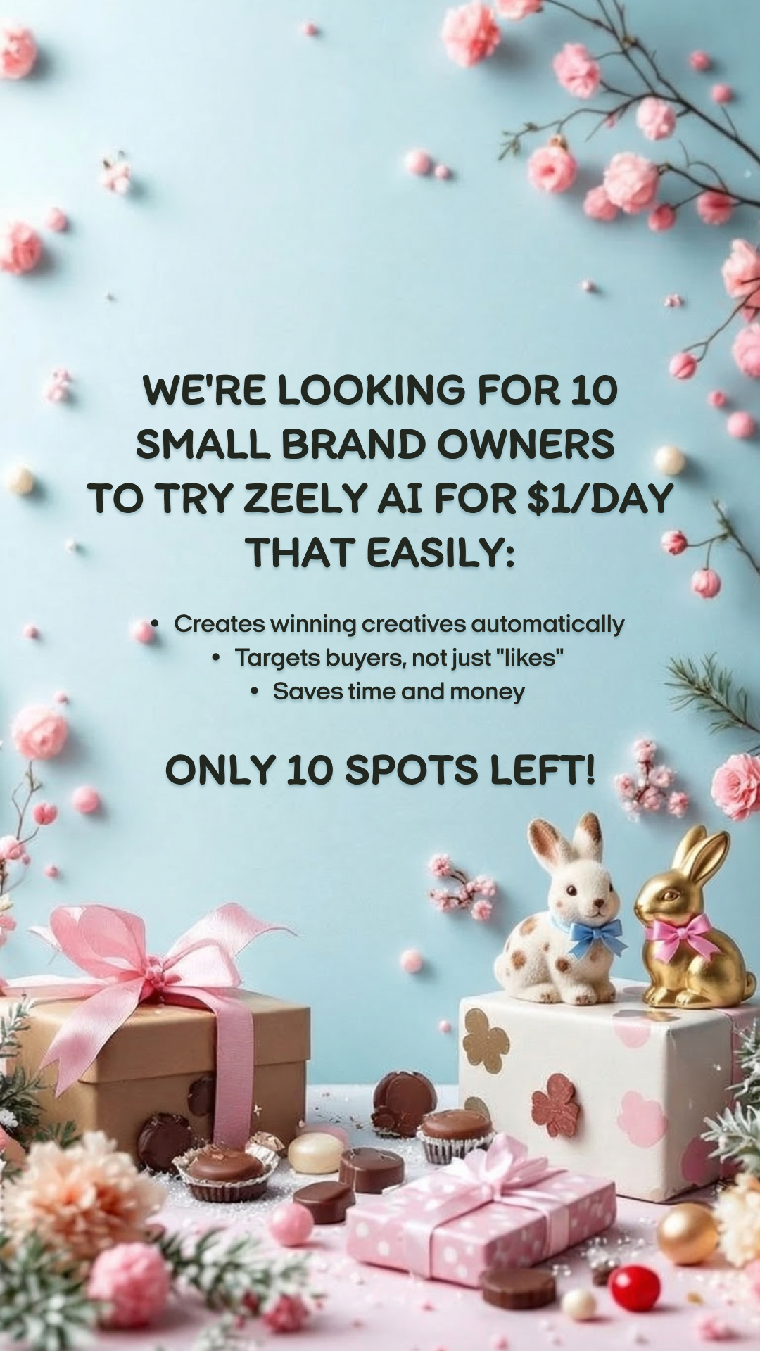 Zeely Facebook ad
