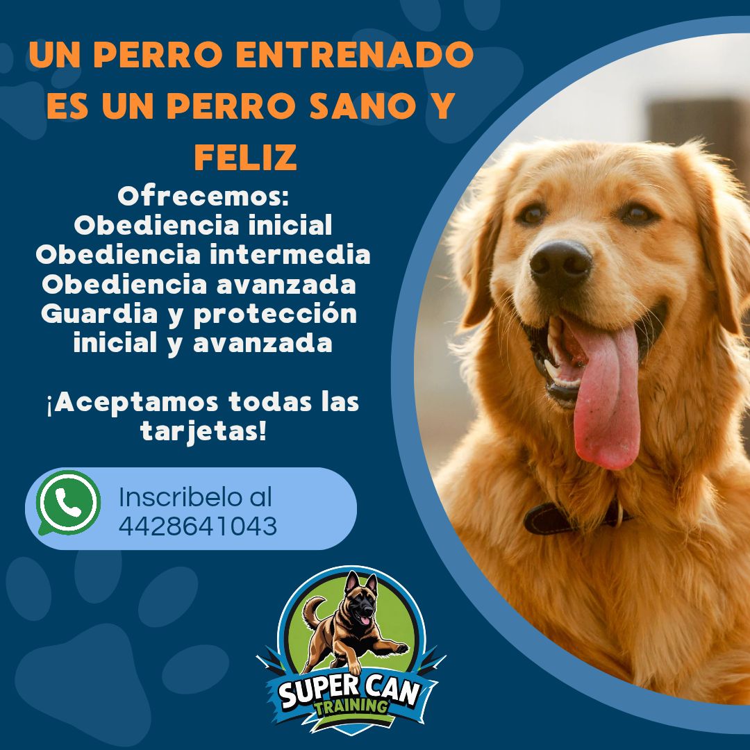 Súper Can training adiestramiento canino Querétaro Facebook ad: Nuestro método de enseñanza es a base de…