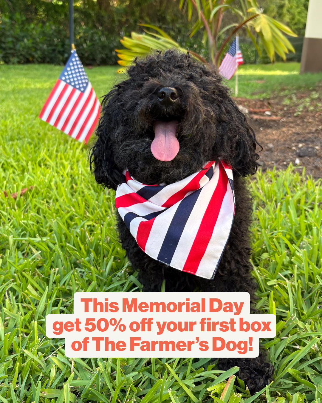 The Farmer's Dog Facebook ad