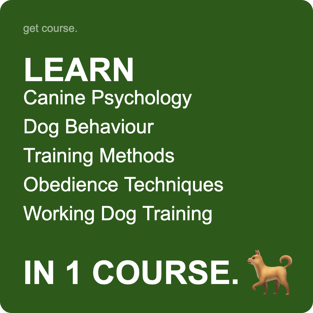 Get Course Facebook ad