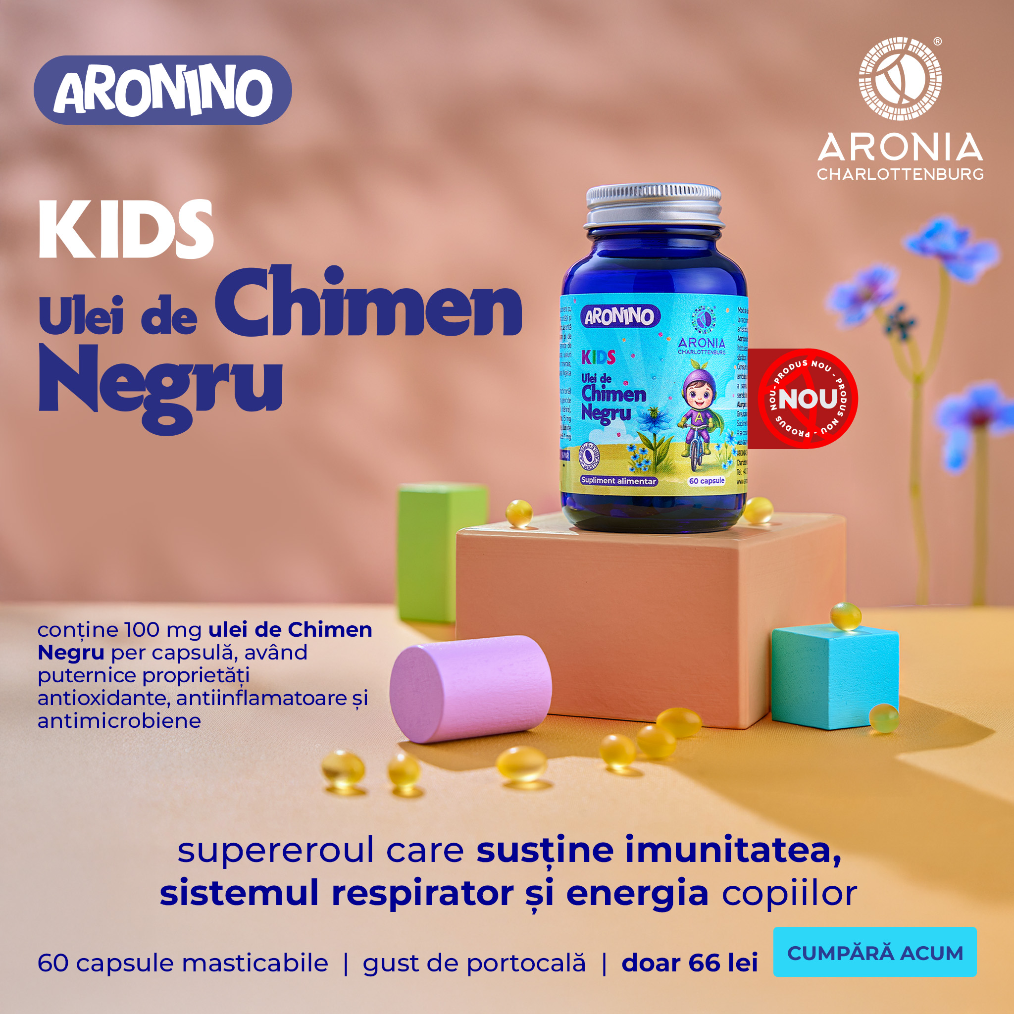 Aronia Charlottenburg Facebook ad