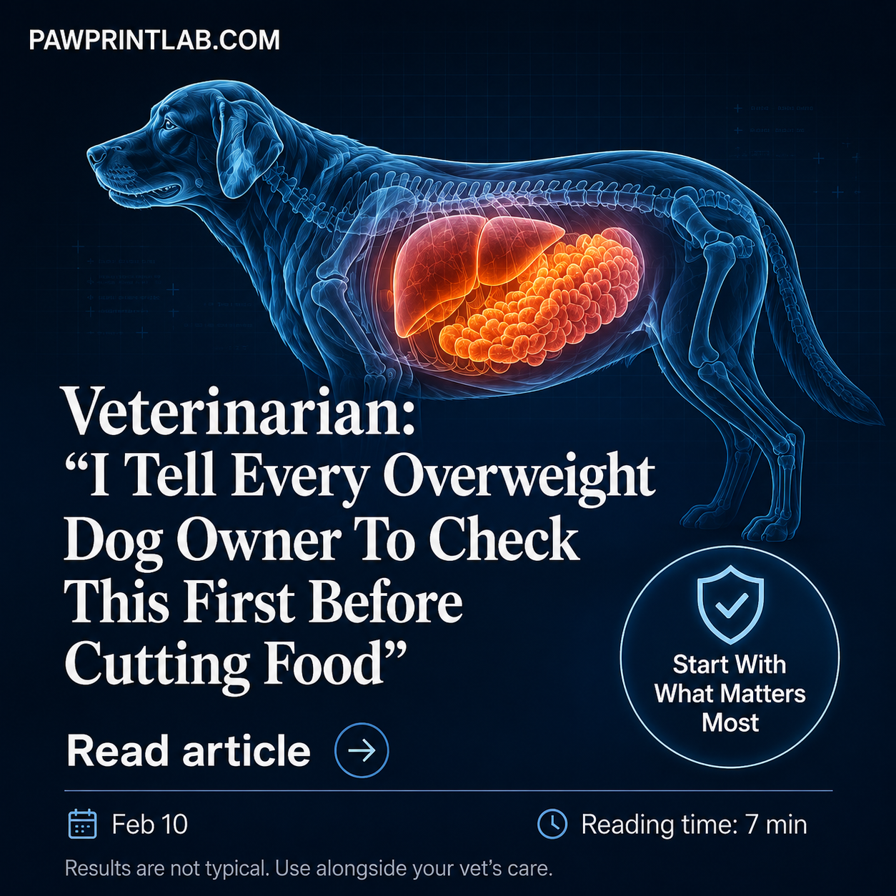 Vet-Approved Pet Products Facebook ad