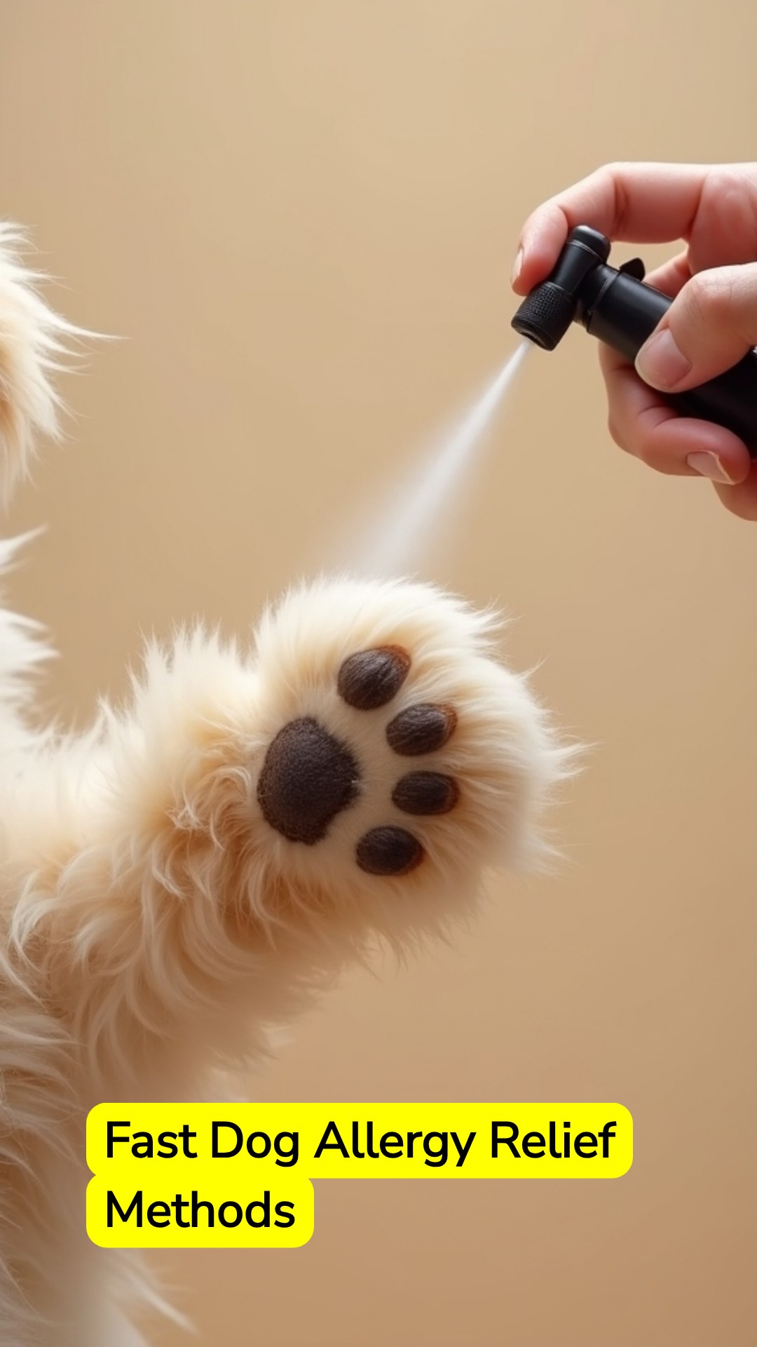 Icananswerthat Alignify Facebook ad: Fast Dog Allergy Relief Methods