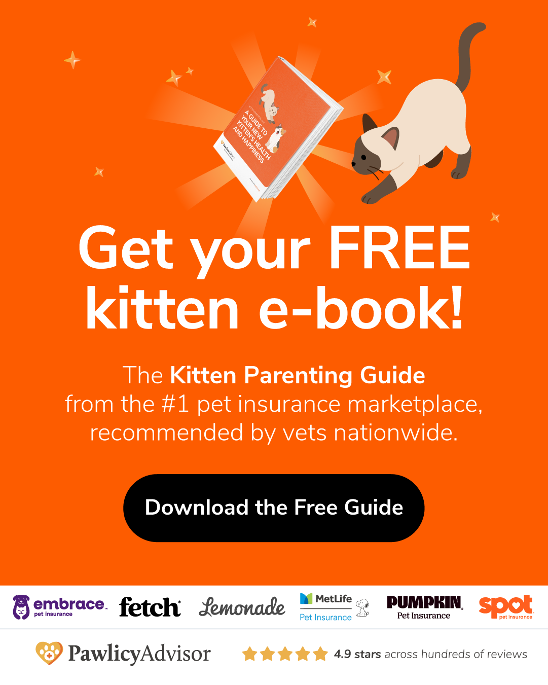Pawlicy Advisor Facebook ad