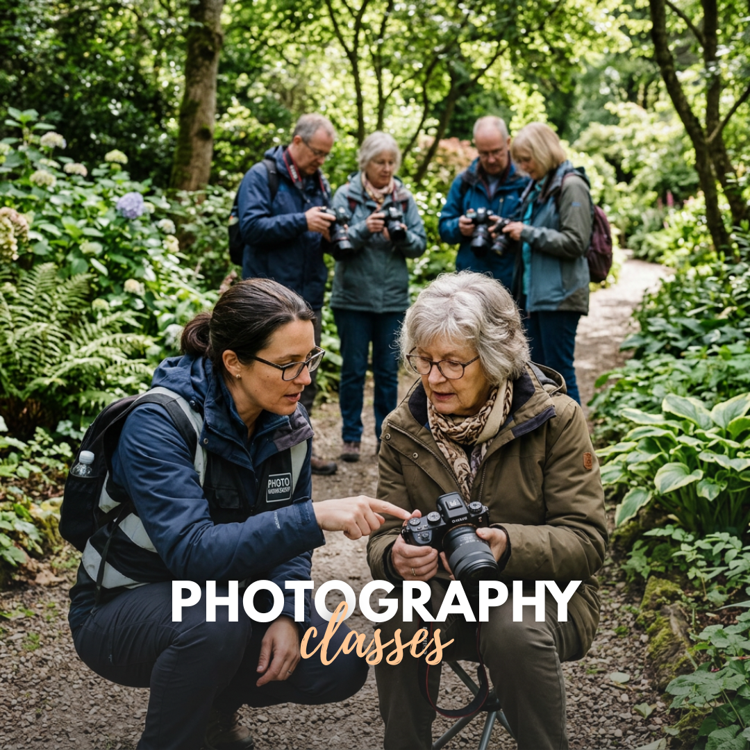 Toronto Photography Group Facebook ad: Toronto Photography Group - Events