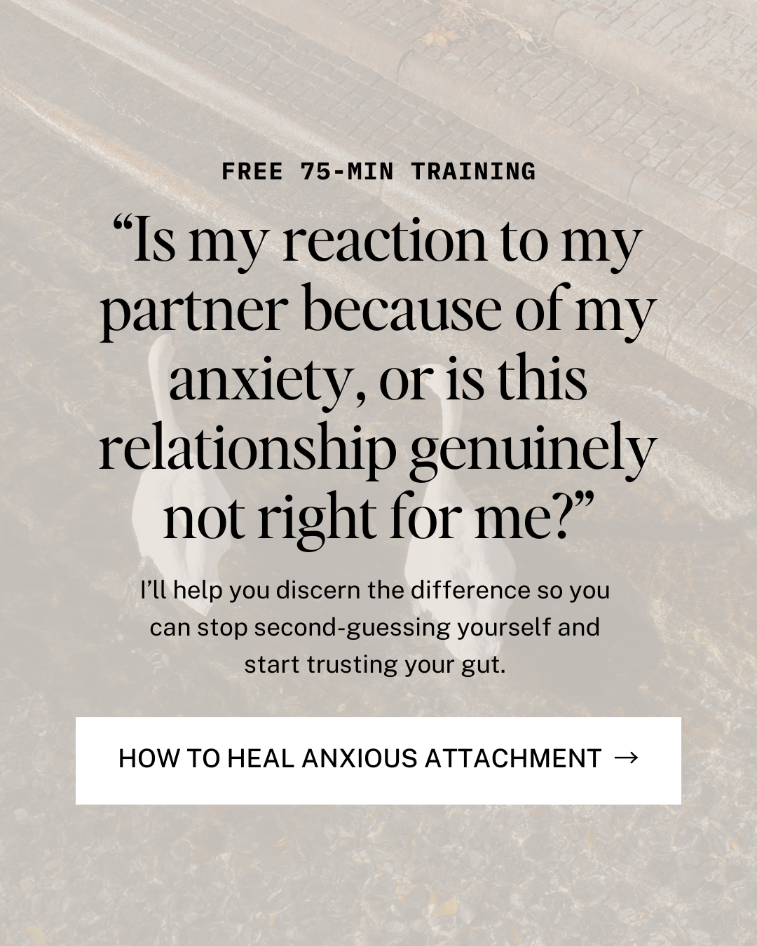 Stephanie Rigg Facebook ad: Free Training: How to Heal Anxious Attachment