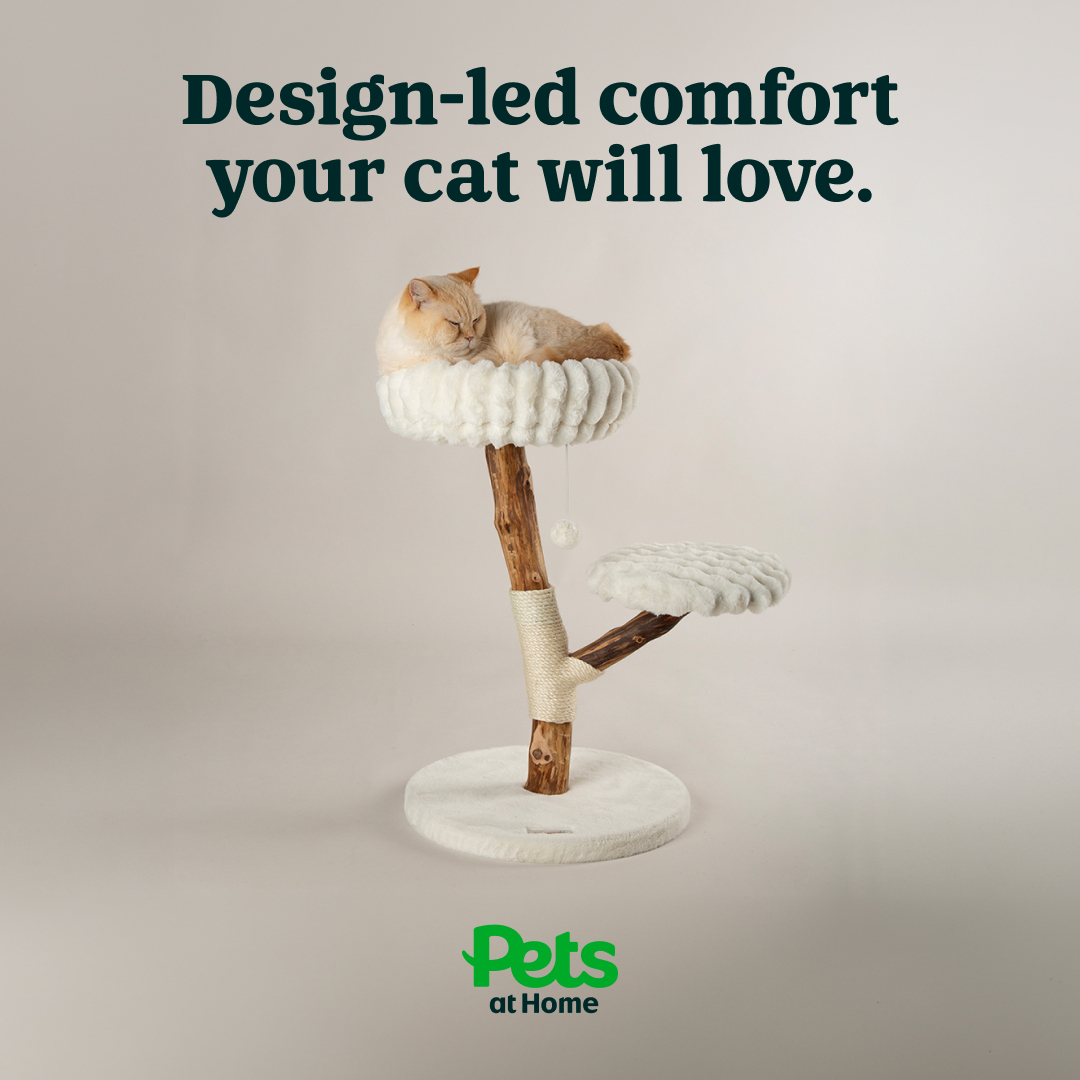 Pets UK Facebook ad