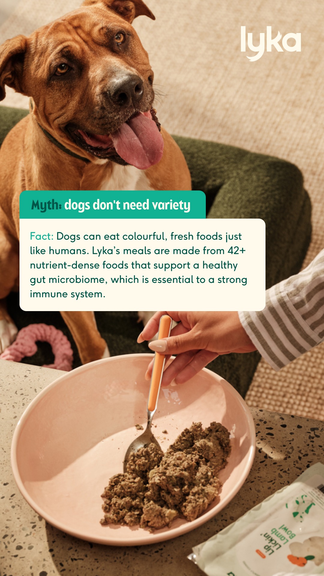 Lyka Pet Food Facebook ad