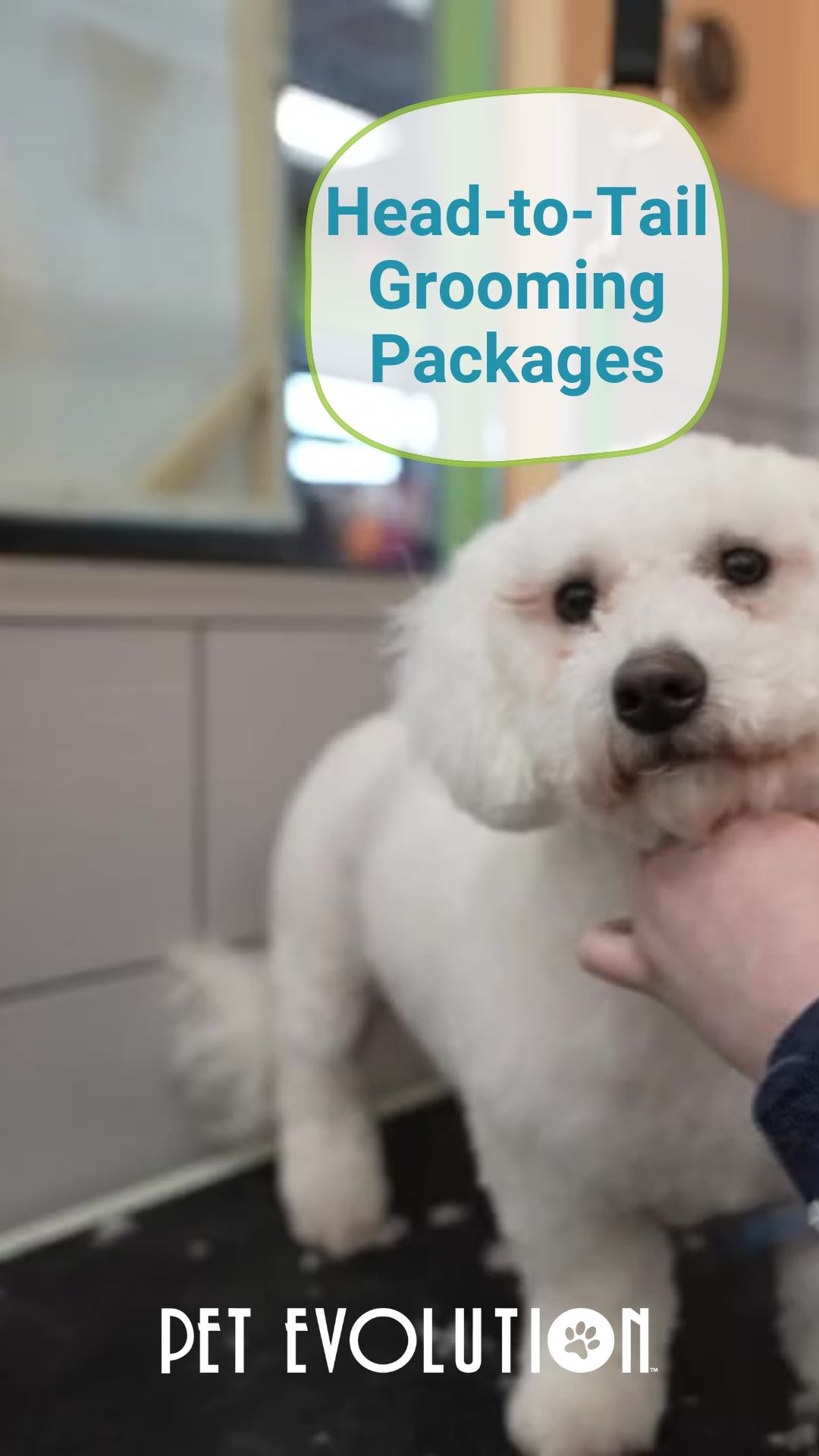 Pet Evolution Facebook ad from Dec 31, 2025