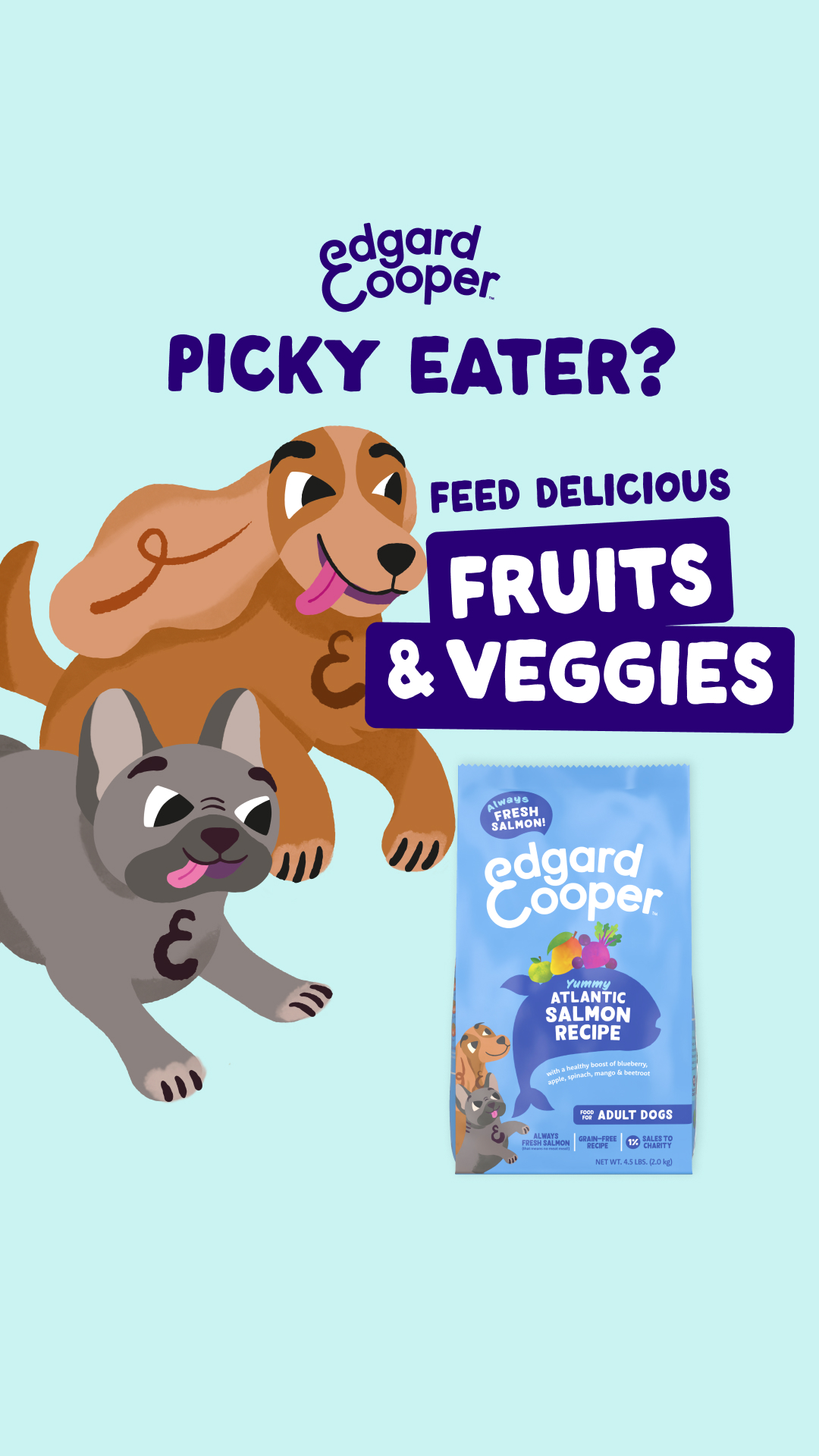 Edgard & Cooper Facebook ad from Feb 25, 2026