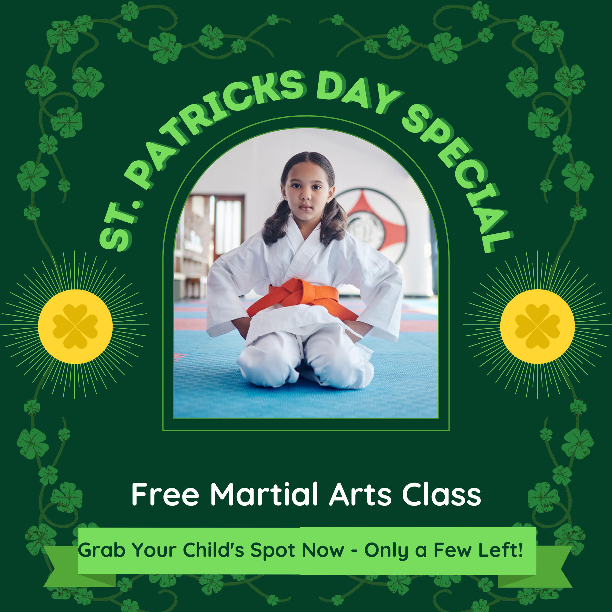 Online Taekwondo Team Facebook ad: FREE Kids Martial Arts Class