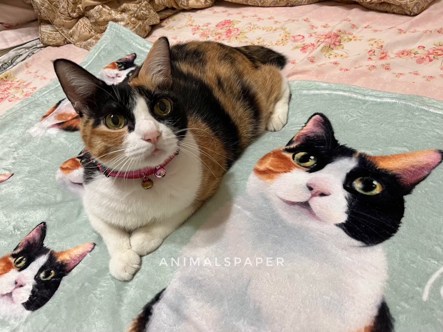 只畫動物的女紙 Facebook ad: 毛孩主人好評回饋:『畫的很像,讓毛孩能繼續陪伴我 』