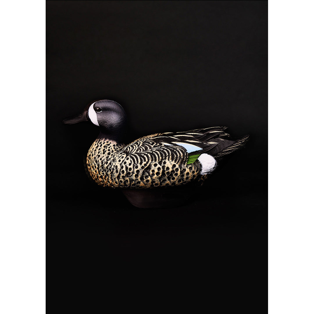 Heyday Facebook ad: Duck hunting Season is here!