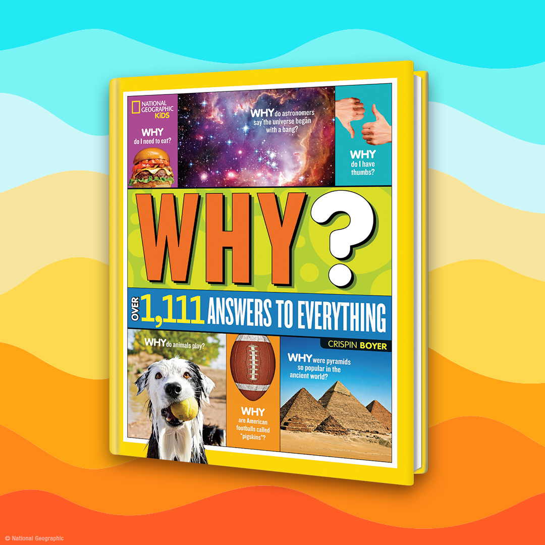 Random House Children's Books Facebook ad