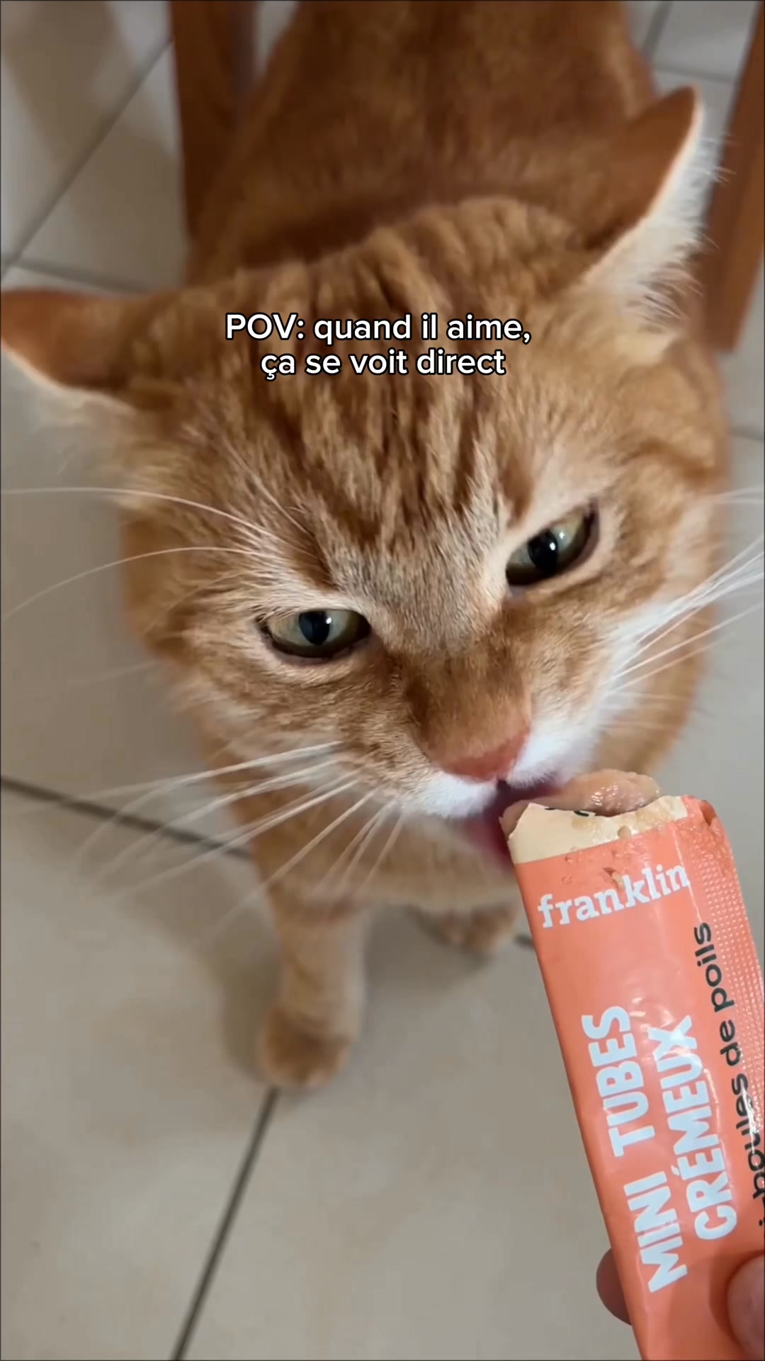 Franklin Pet Food Facebook ad: Nouvelle gamme de friandises!