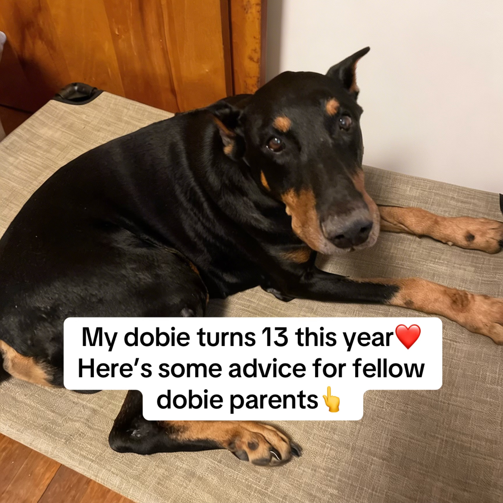 Renee Callahan Facebook ad: Titus made it to 13 (still going strong)