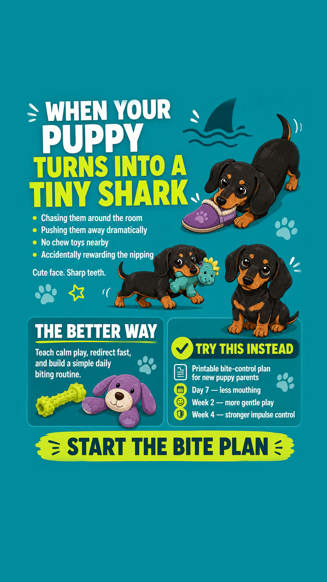 Puppy Tips for Training Facebook ad