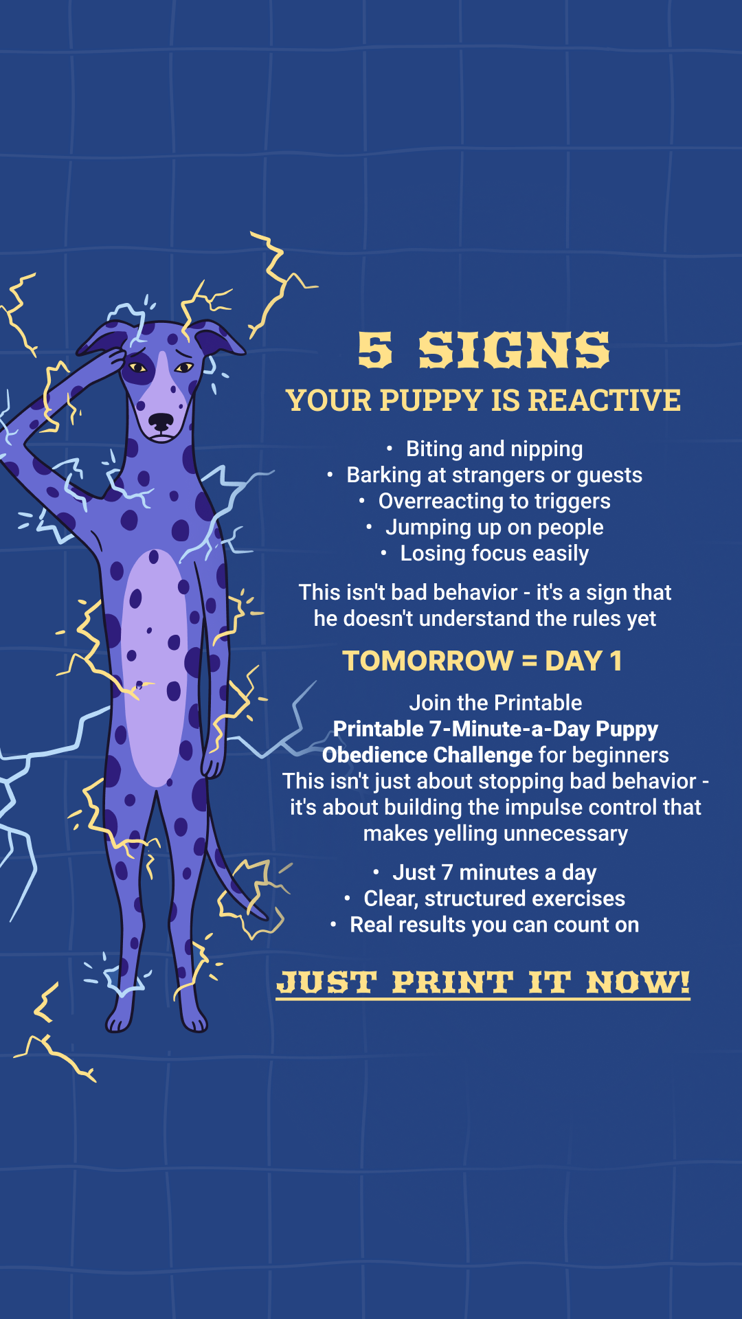 Dog Training & Tips Facebook ad