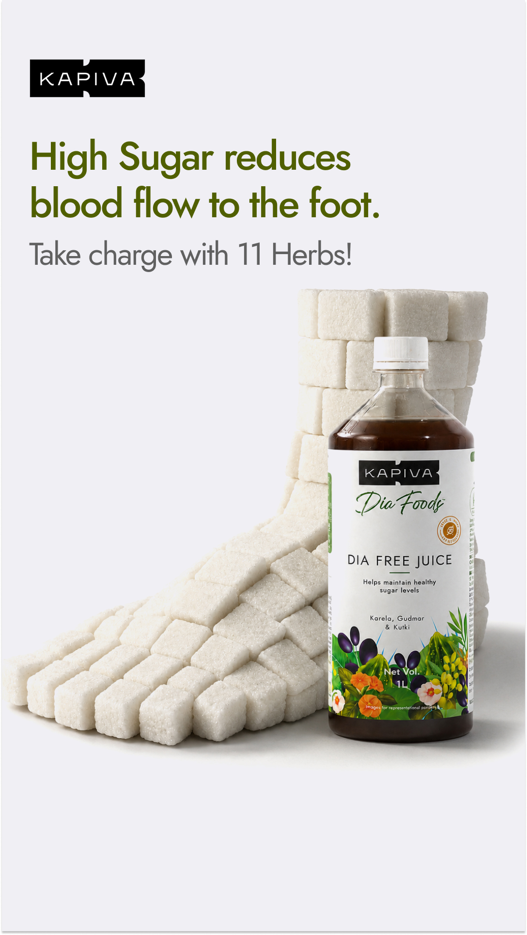 Chronic Health Solutions by Kapiva Facebook ad