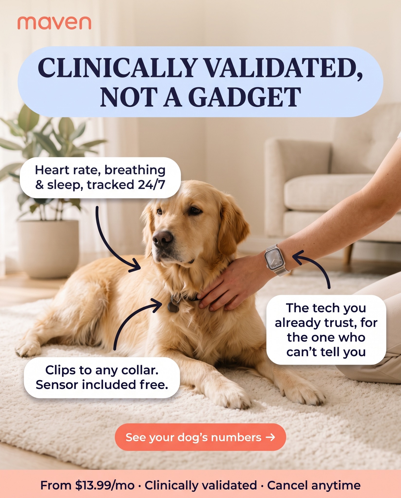 Maven Pet Facebook ad