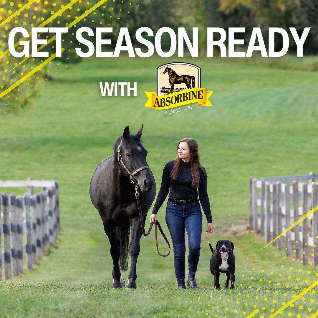 Absorbine Facebook ad