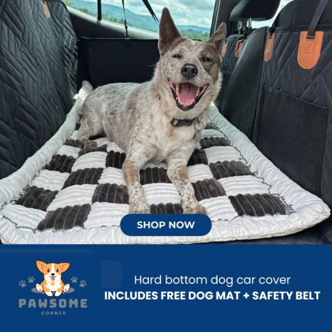 Paw Some Corner Facebook ad: FREE DOG BED +FREE BELT