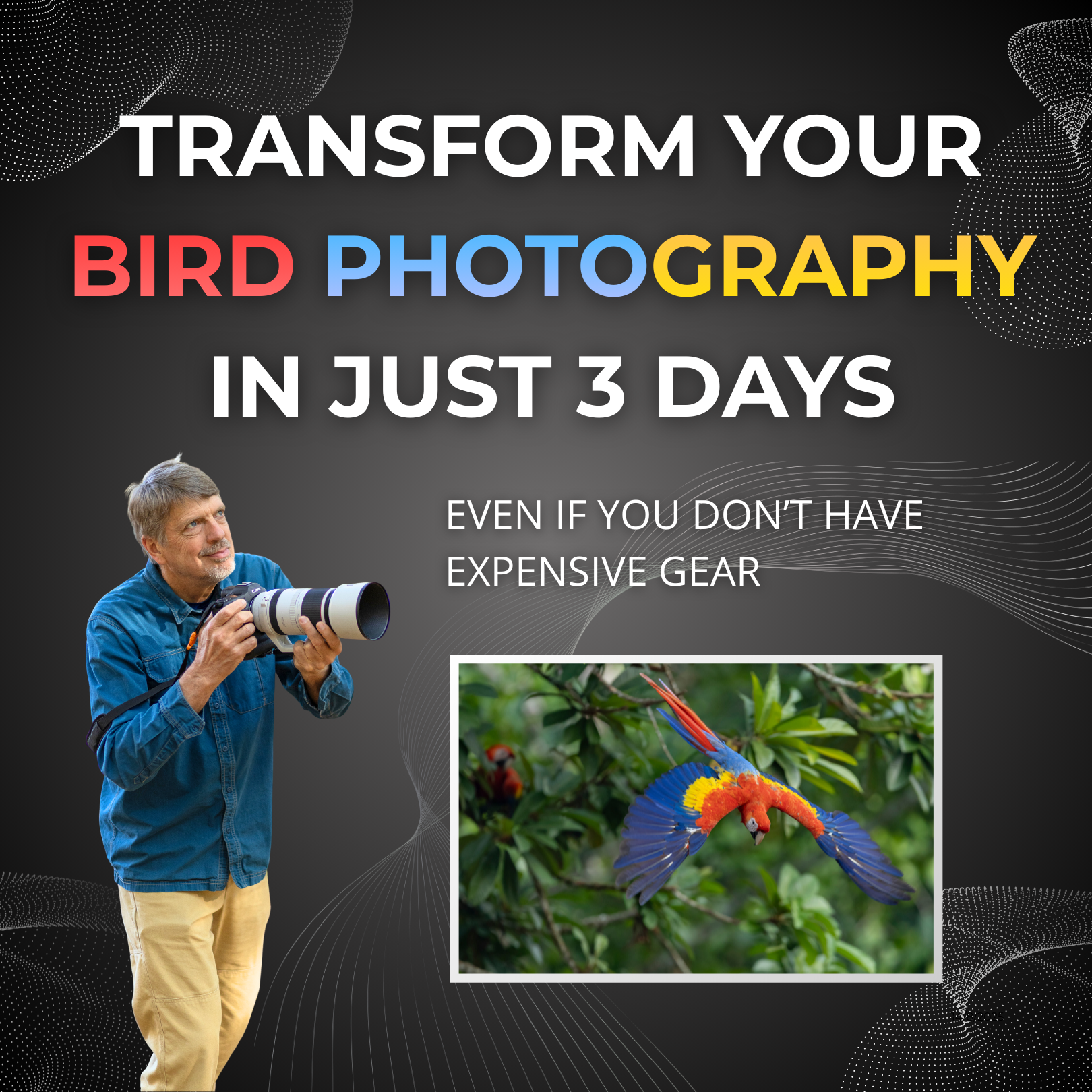 Tim Laman - Wildlife Photojournalist Facebook ad