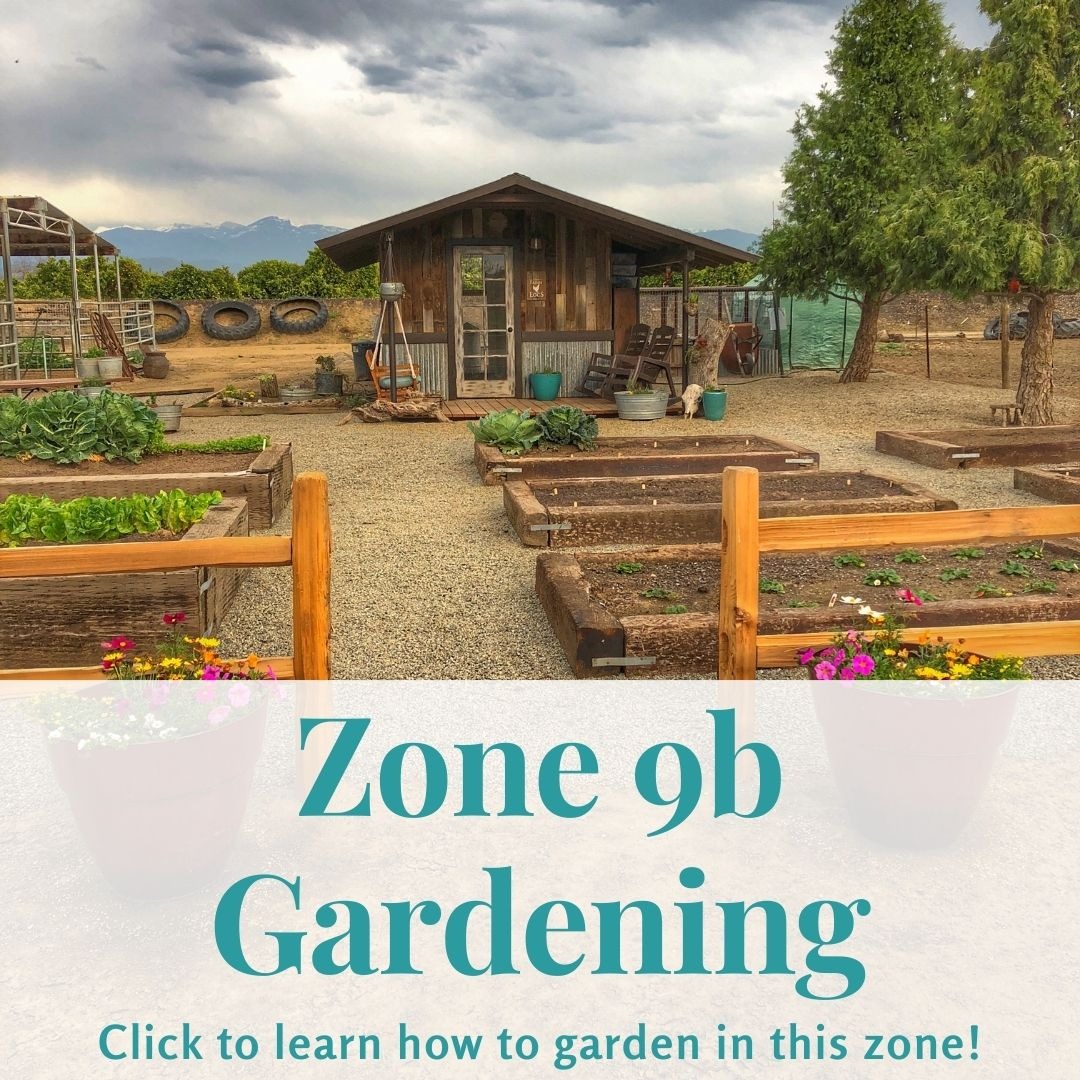 Audrey’s Little Farm Facebook ad: Zone 9b Gardeners, it's time to grow your best garden yet!