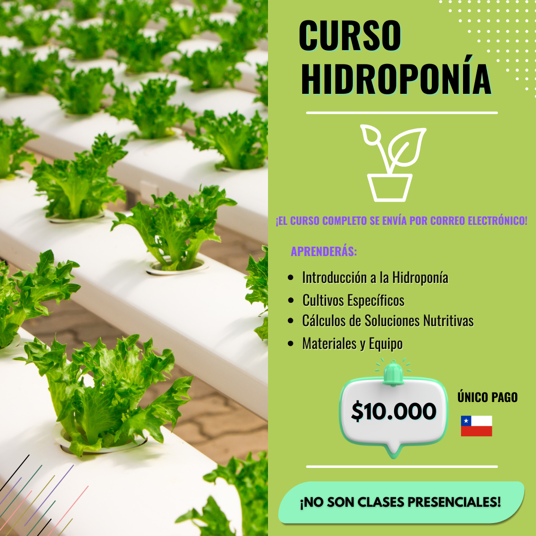 Tú Curso Digital Facebook ad: Compra Aquí