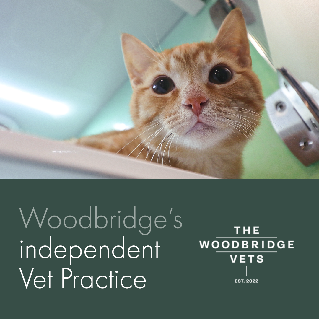 The Woodbridge Vets Facebook ad: Woodbridge's Independent Vet Practice