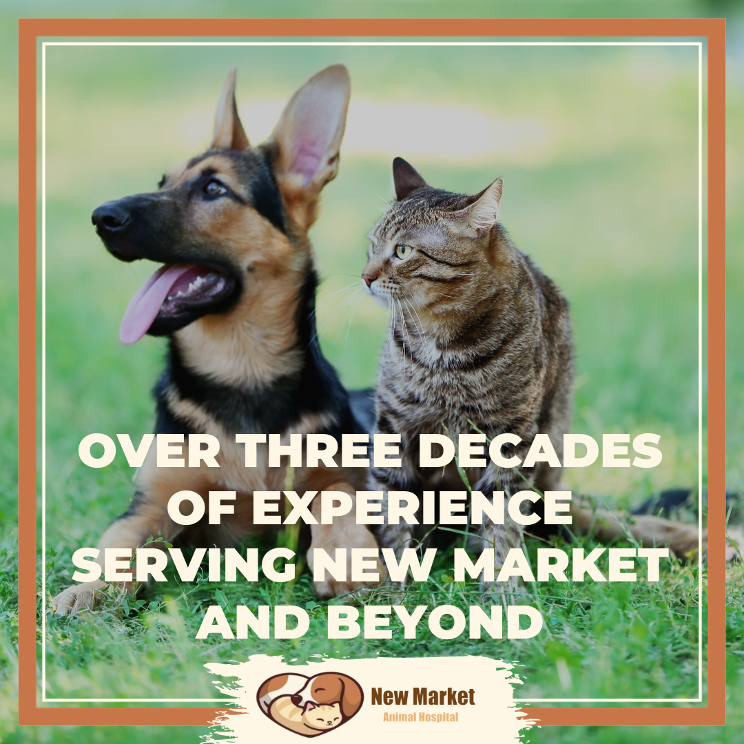 New Market Animal Hospital Facebook ad