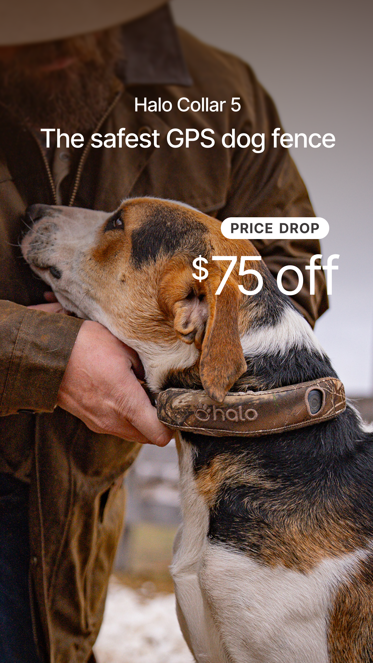 Halo Collar Facebook ad