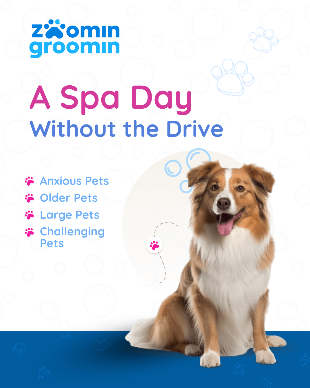 Zoomin Groomin - Greater Tampa Bay Area Facebook ad from Jul 30, 2026