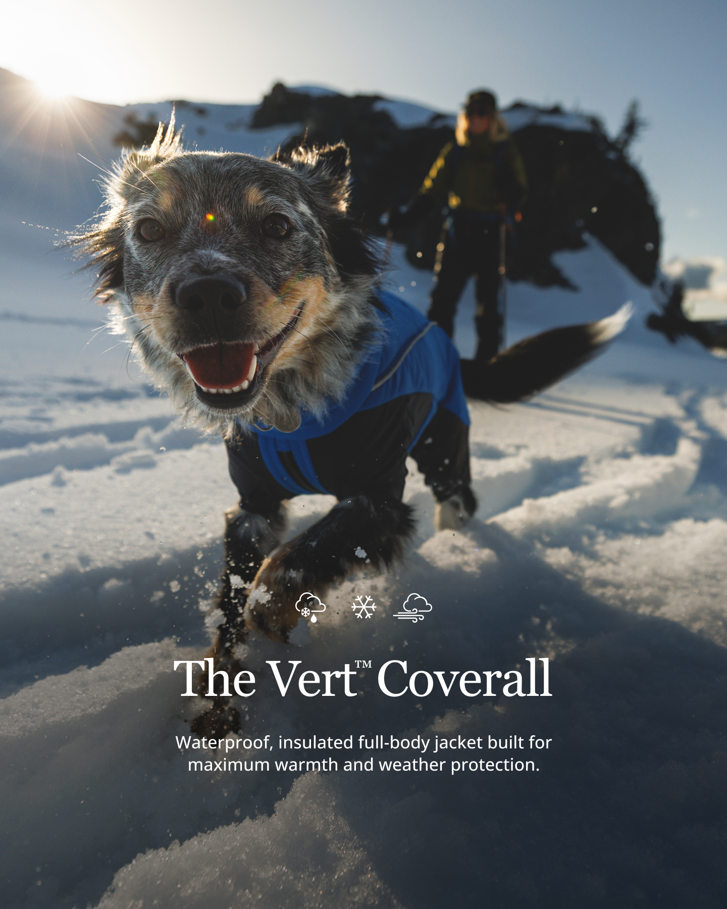 Ruffwear Facebook ad