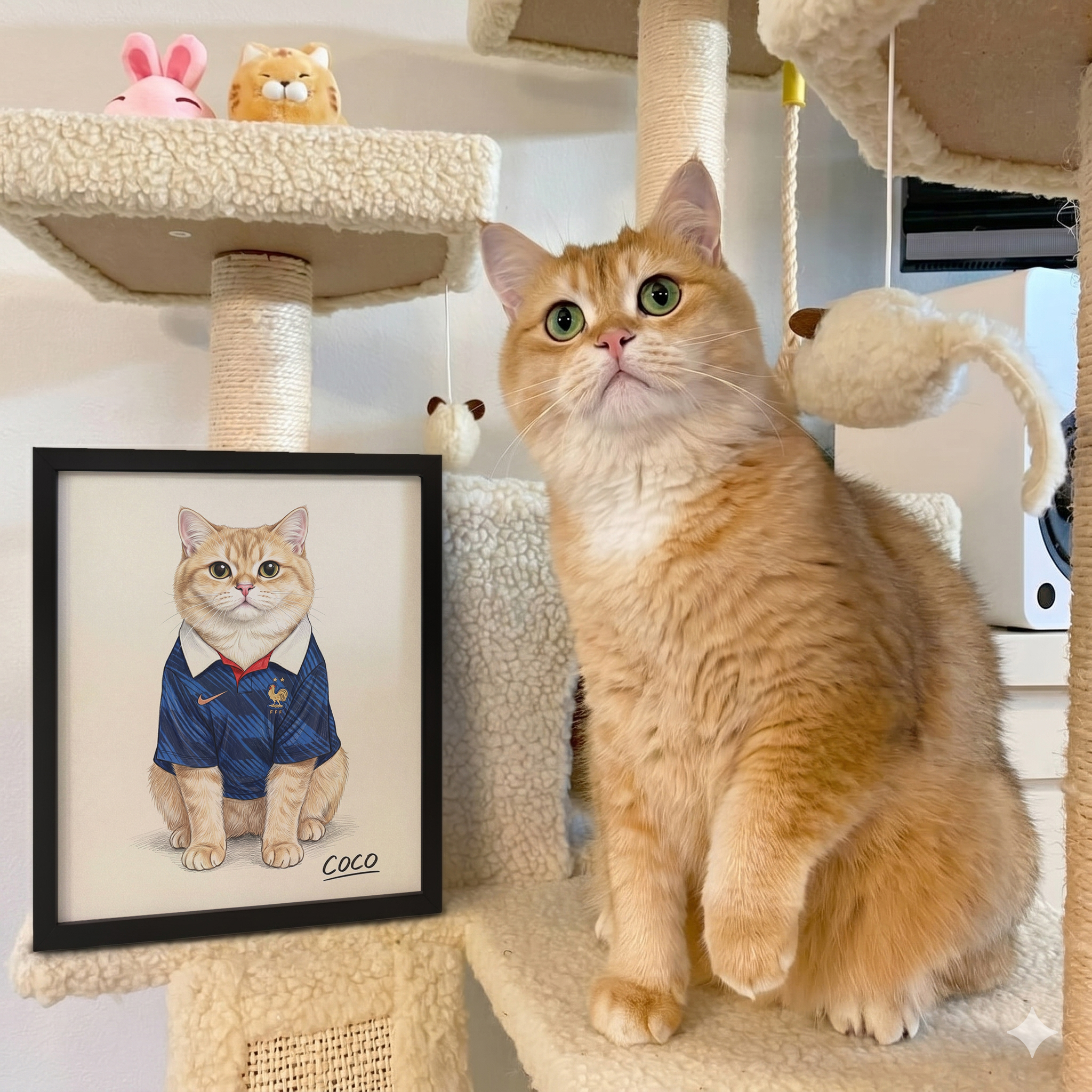 Crown & Paw Facebook ad