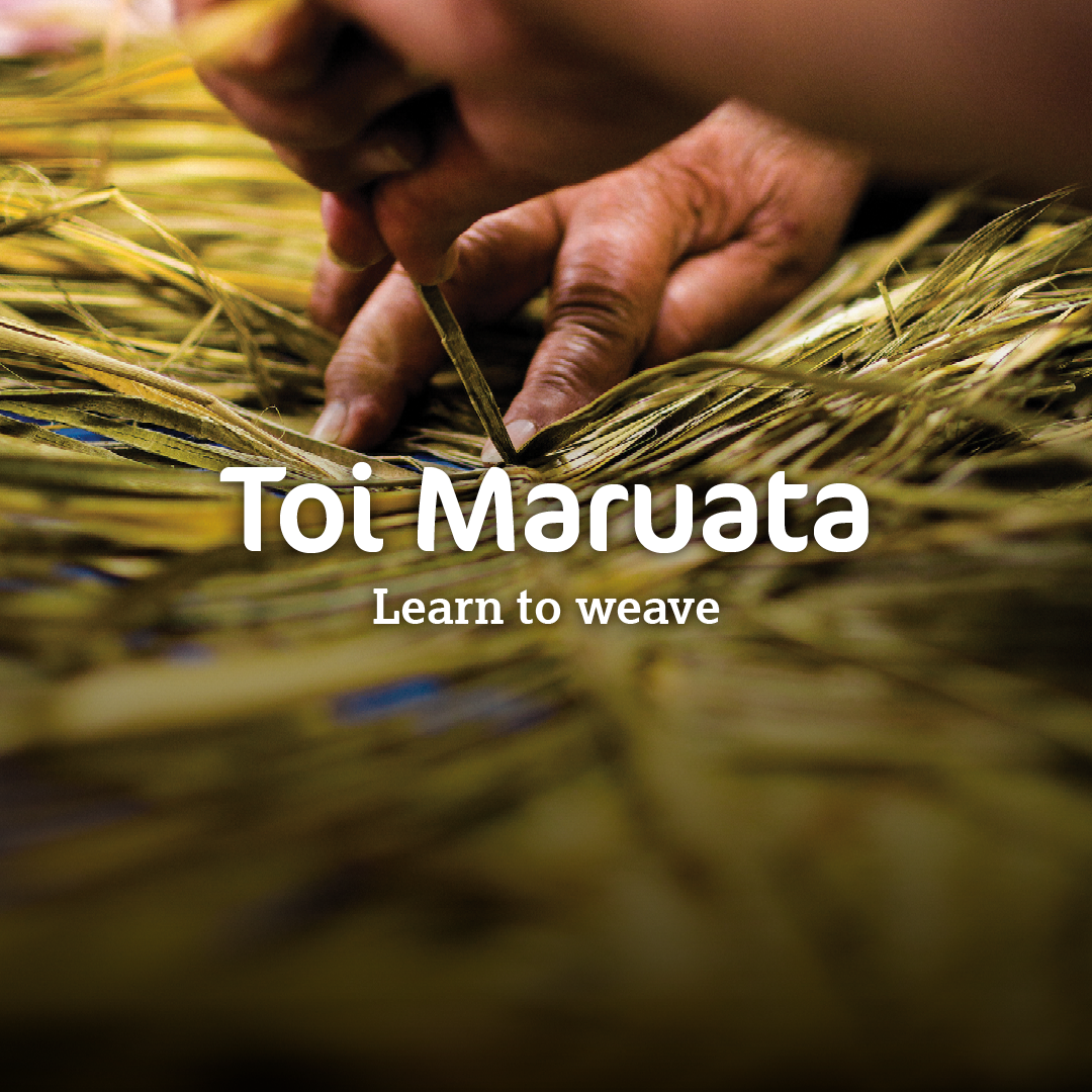 Te Wānanga o Aotearoa Facebook ad