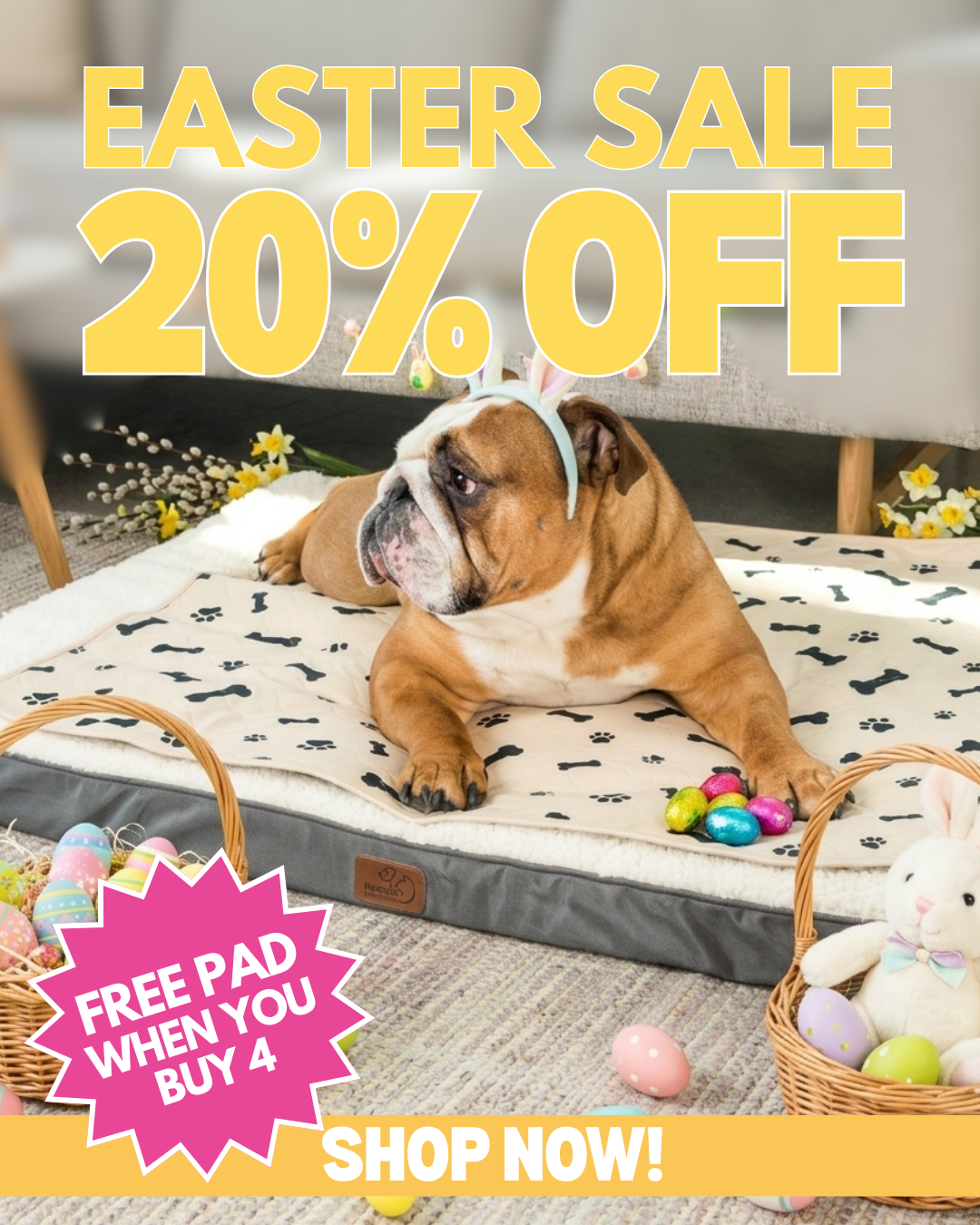 Potty Buddy Facebook ad