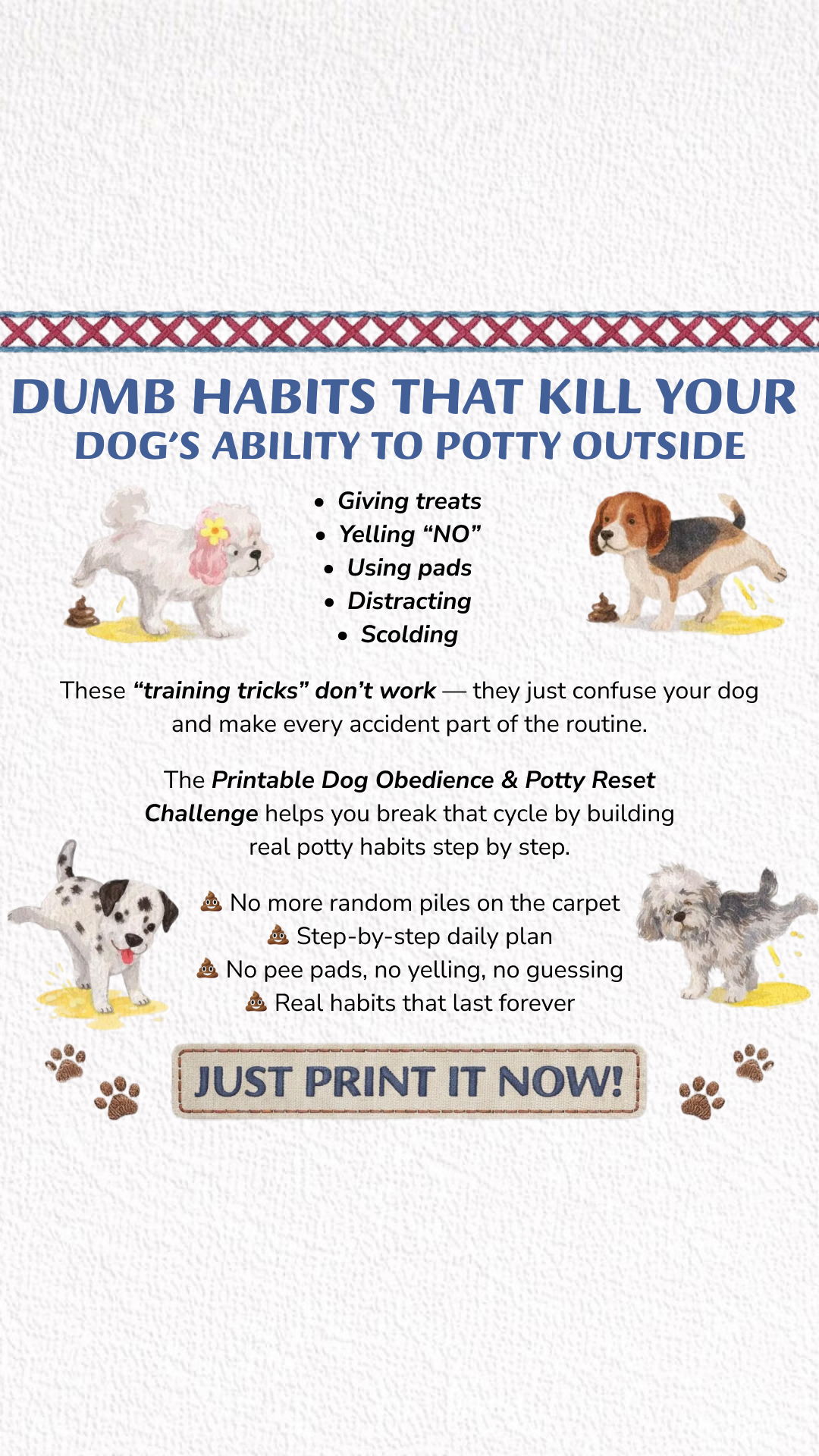 PawChamp Facebook ad