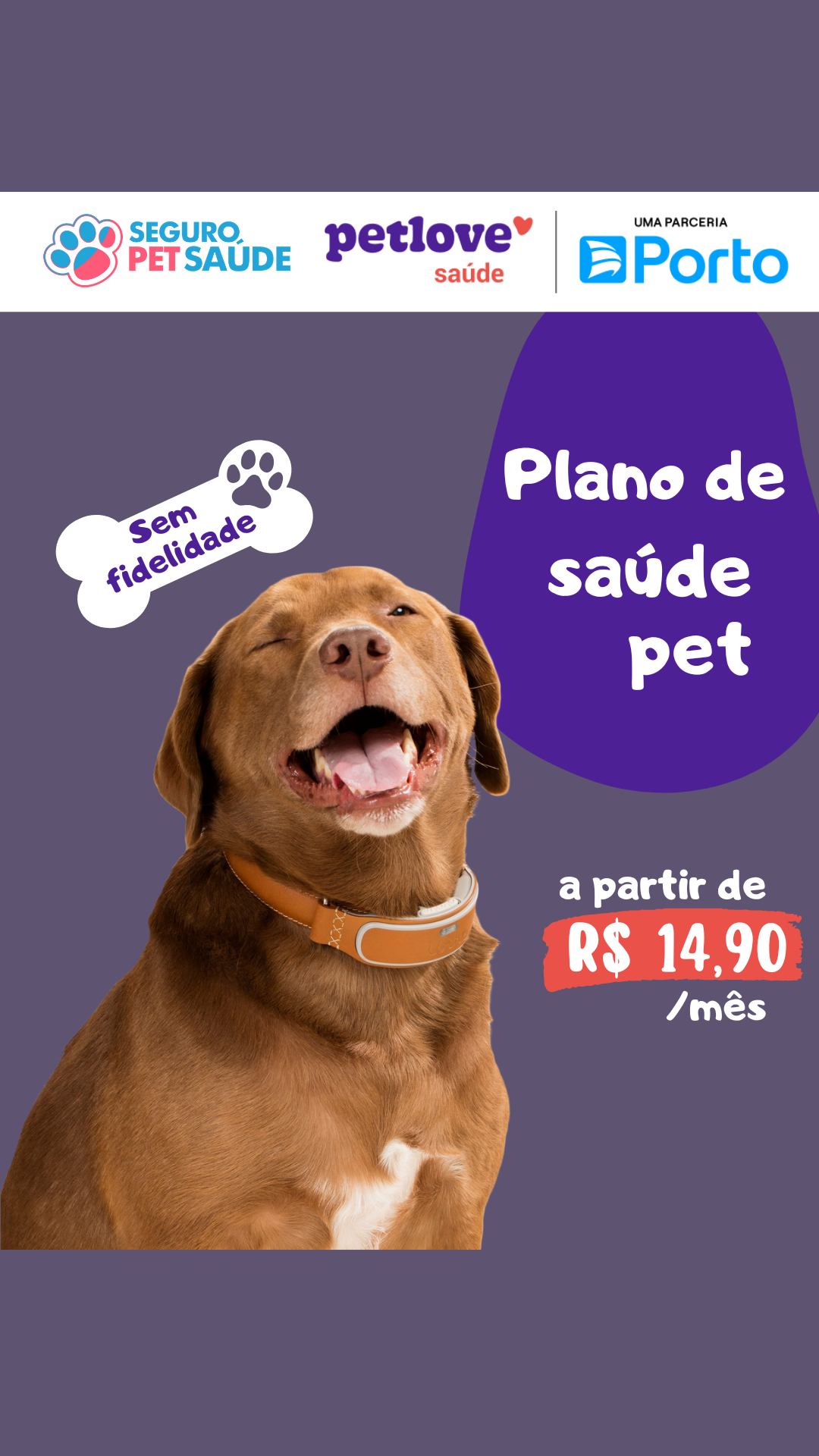 Seguro Pet Saúde Facebook ad