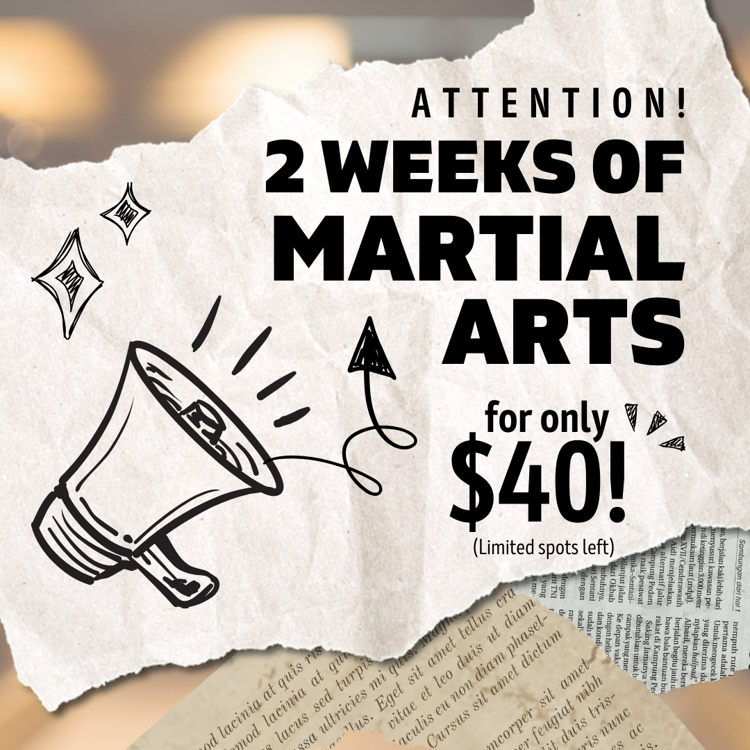 North Hills ATA Martial Arts Facebook ad