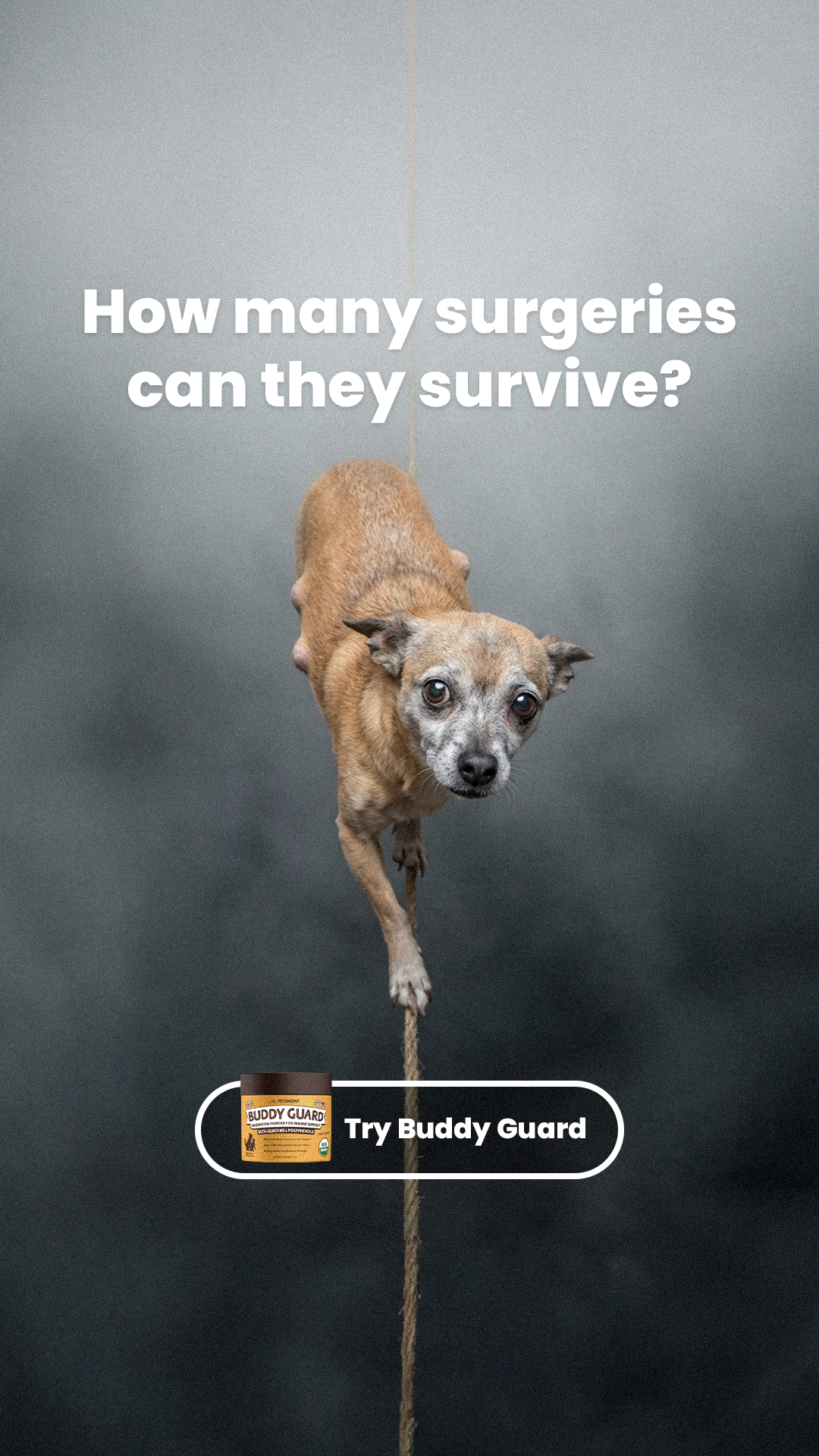 Petsmont Facebook ad