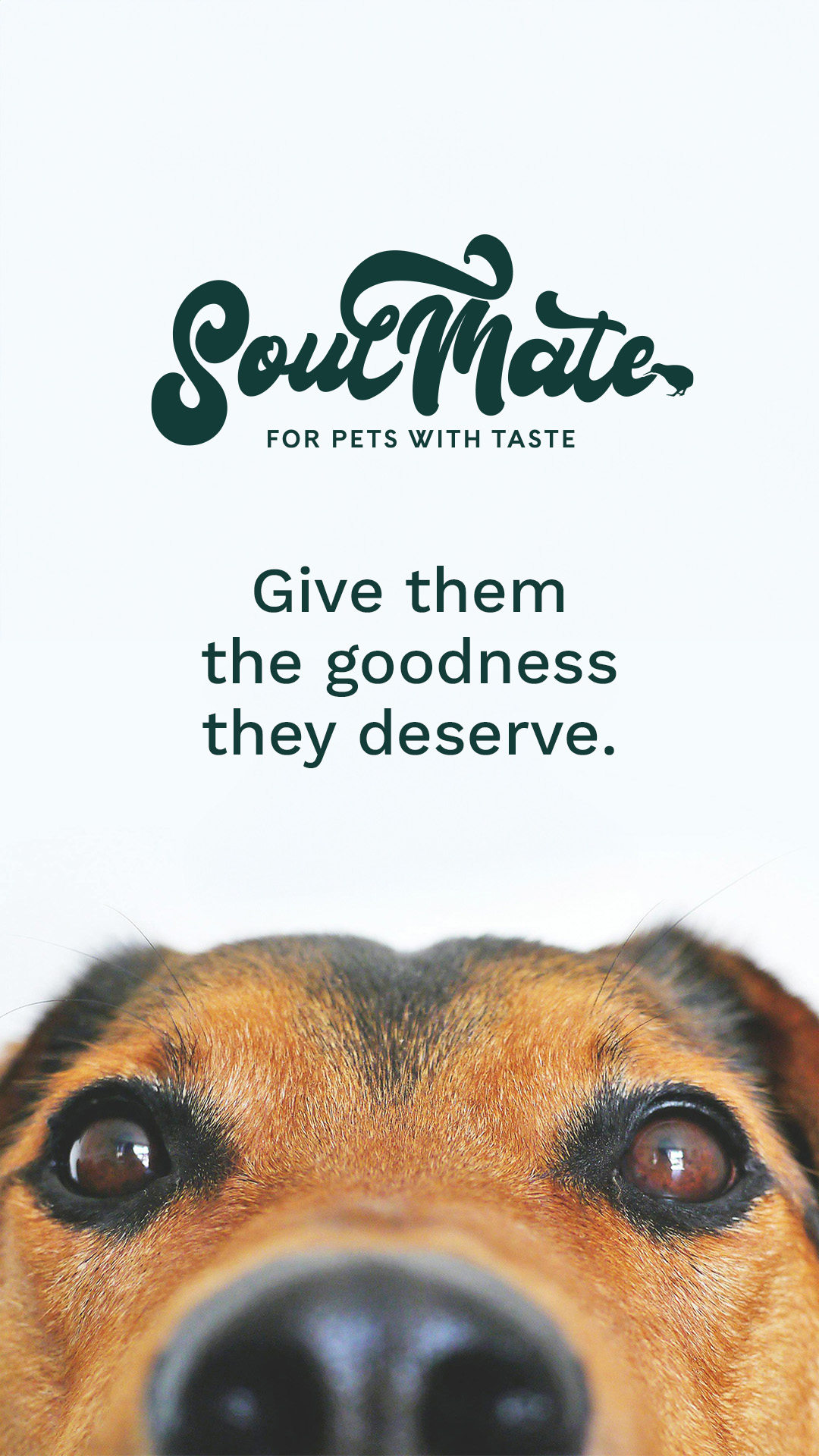 Petstock Facebook ad