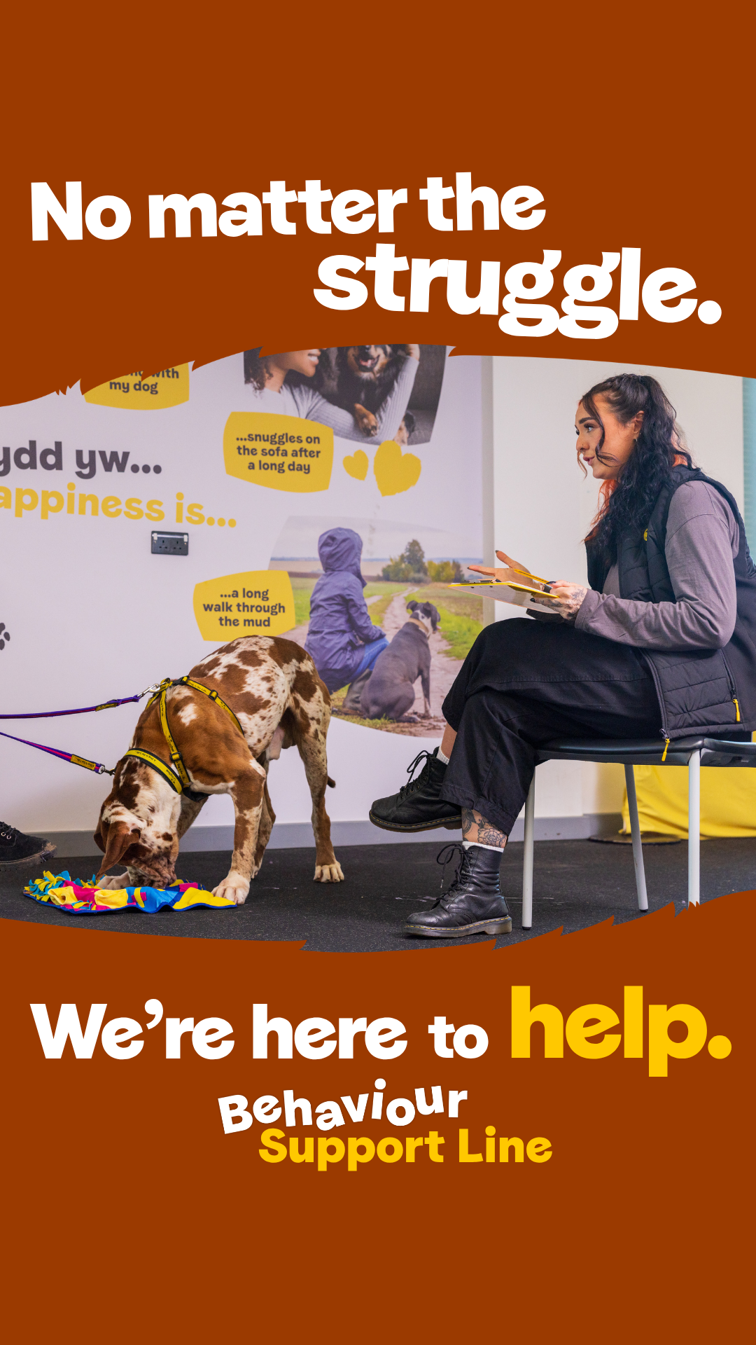 Dogs Trust Facebook ad